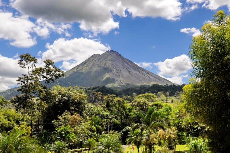 Trees near volcanoes become greener as carbon dioxide rises underground, providing an unexpected early warning system through satellite monitoring.