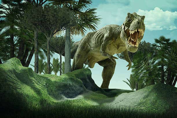 A cooling climate following Earth's hottest period triggered massive growth in predatory dinosaurs like T. rex and megaraptors.