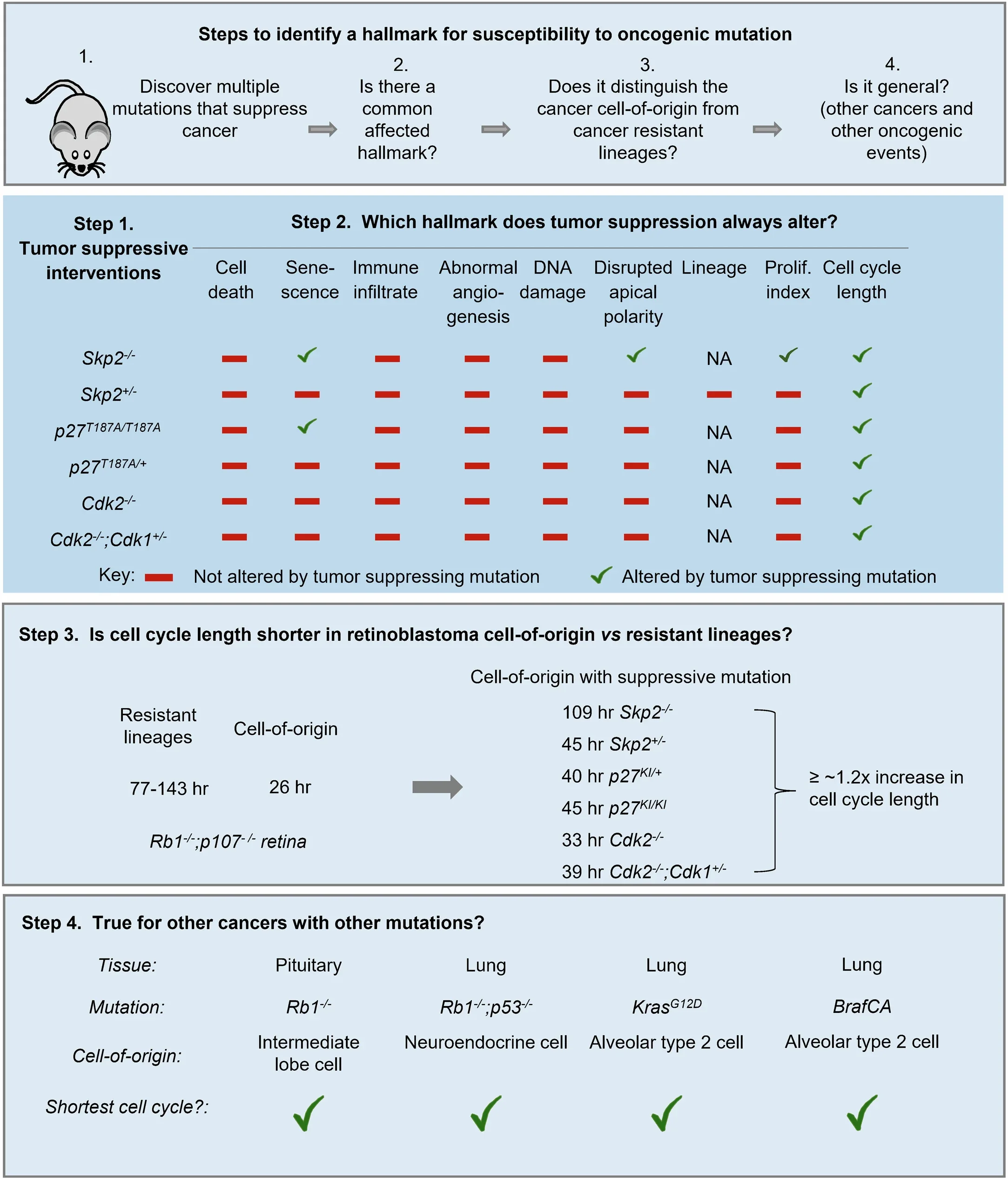 An in vivo strategy to identify a cancer cell-of-origin hallmark.