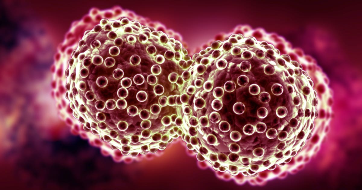 A new study finds that how fast cells divide may determine whether cancer develops, offering hope for new prevention therapies.