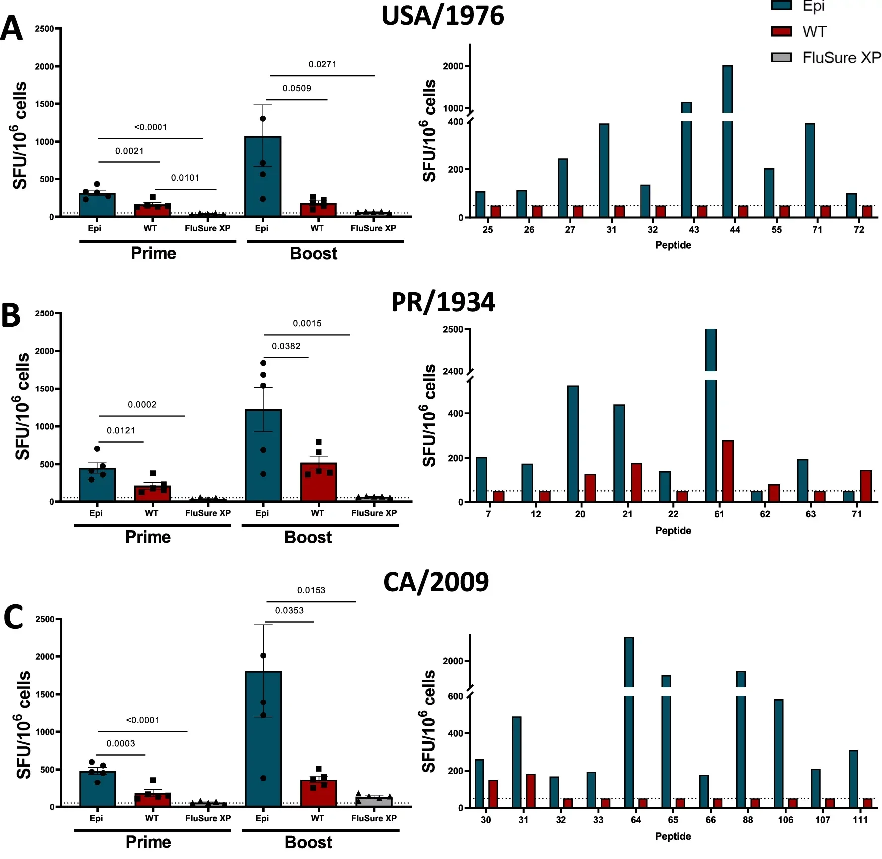 Total IFN-γ T cell responses (n = 5 pigs/group) after a prime and boost immunization (left) and epitope-specific T cell responses (right) against (A) a classical swine IAV-S isolate, (B) ancestral human IAV isolate, and (C) human H1N1pdm09 IAV isolate.