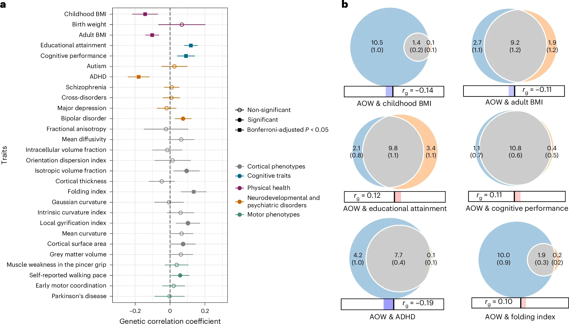 Genetic overlap between age at onset of walking and other complex traits.