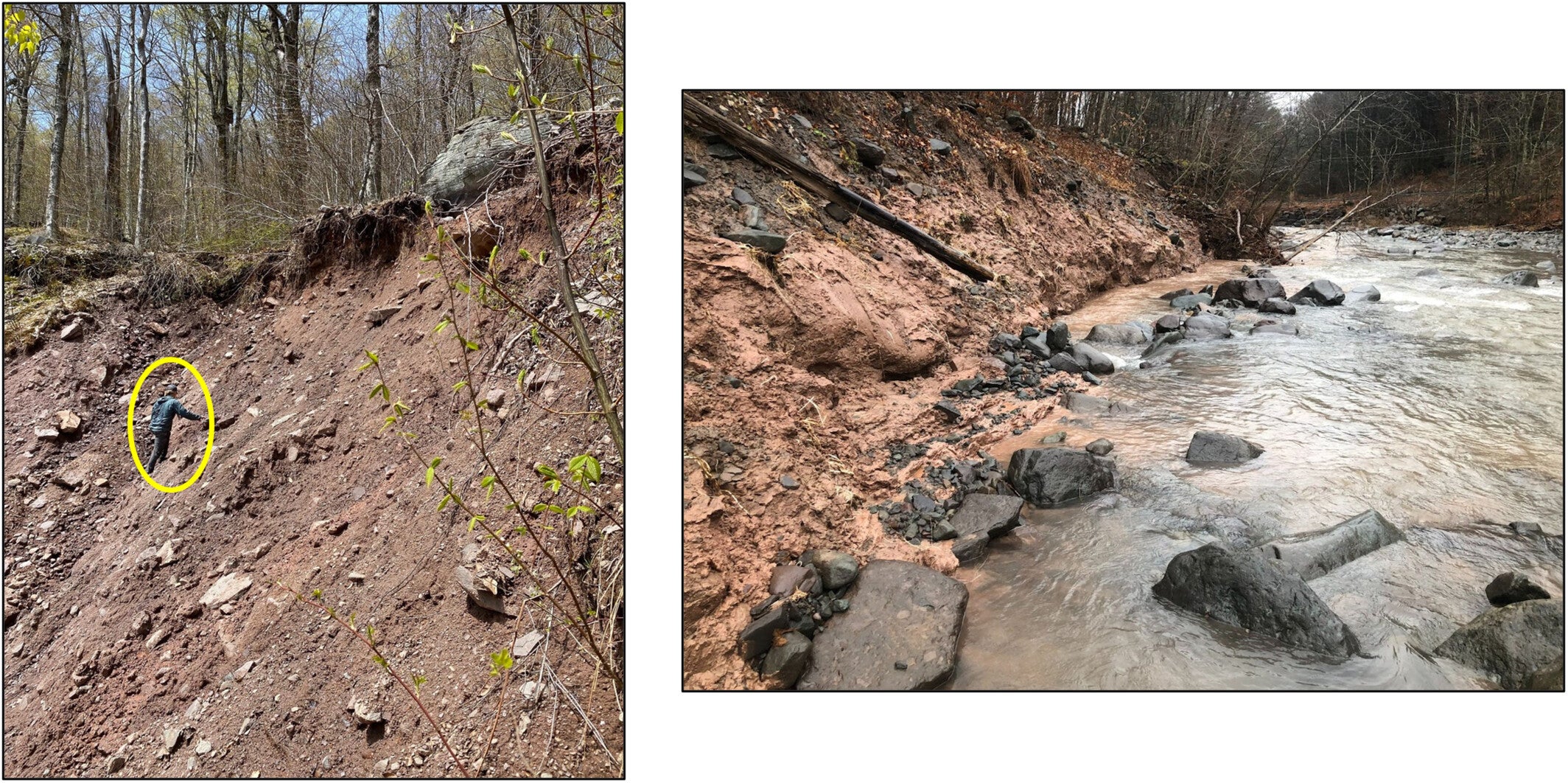 Glacial sediment exposed in the valley margins of the Esopus Creek basin. The left shows a mass failure in glacial till (note person for scale). The right shows an exposure of lacustrine sediments in the banks of Woodland Creek. (CREDIT: (left) W.D. Davis; (right) J.T. Kemper)