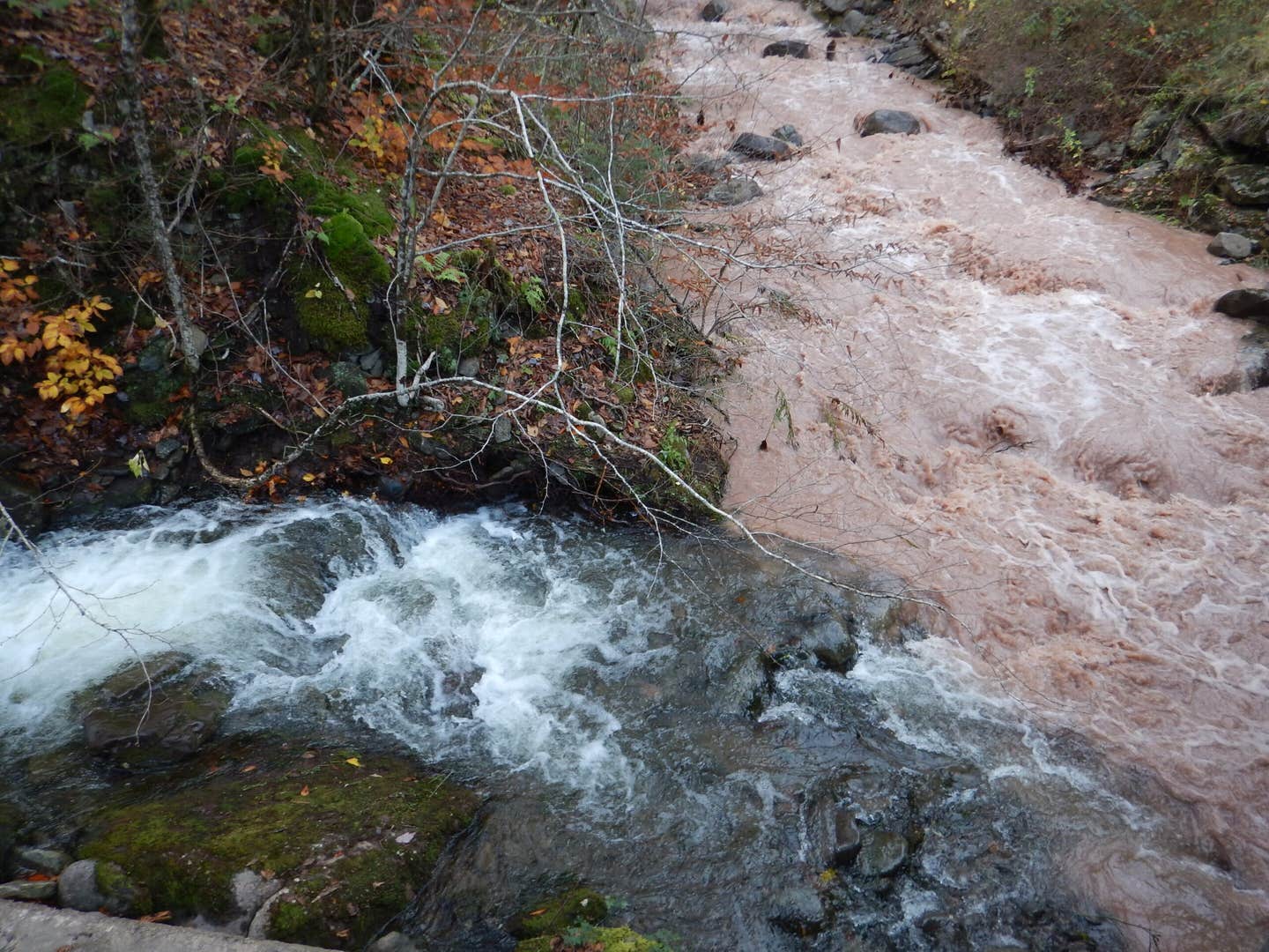 AI and streamflow models combine to forecast water quality, helping communities predict turbidity and manage safe drinking water.