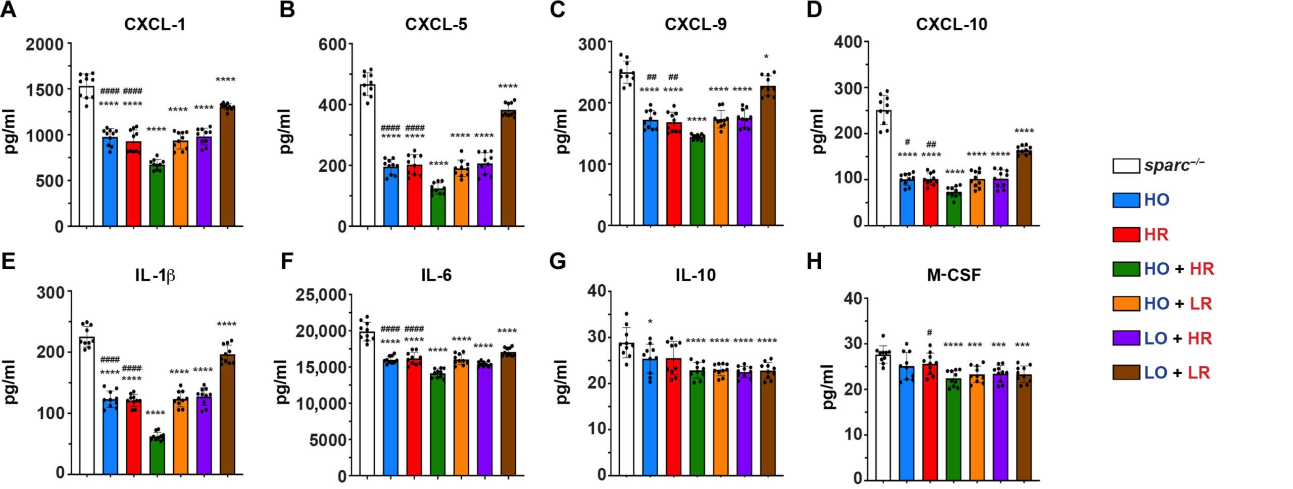 IVDs (L3-S1) from sparc−/− mice treated with senolytics or vehicle were isolated, and the release of 15 SASP factors was evaluated.