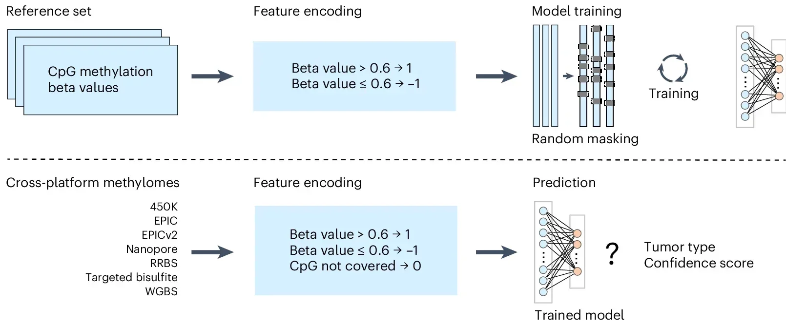 Overview of the crossNN model architecture.