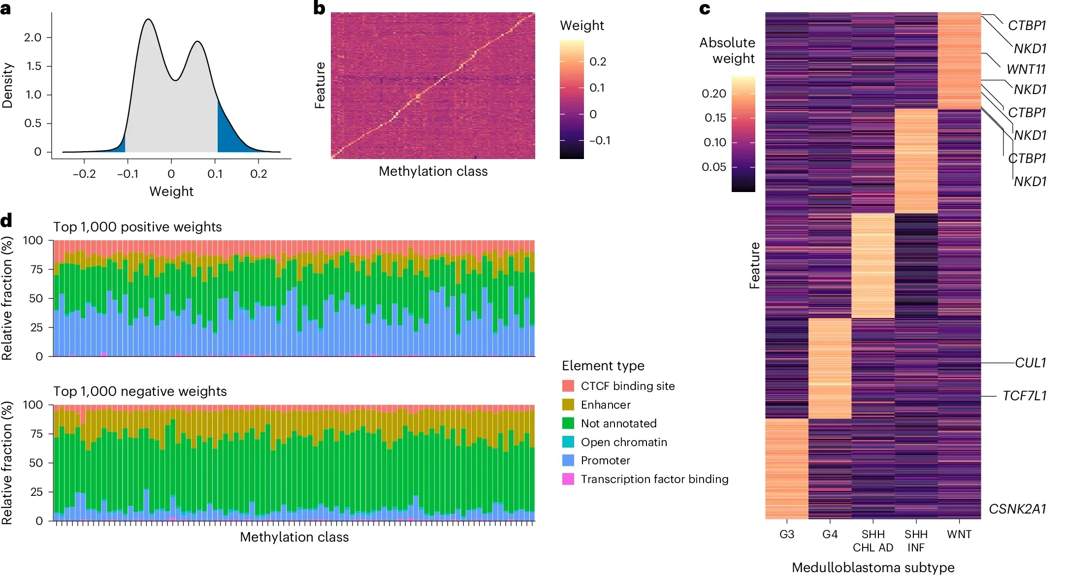 Interpretability of the model. Typical bimodal distribution of feature weights. 