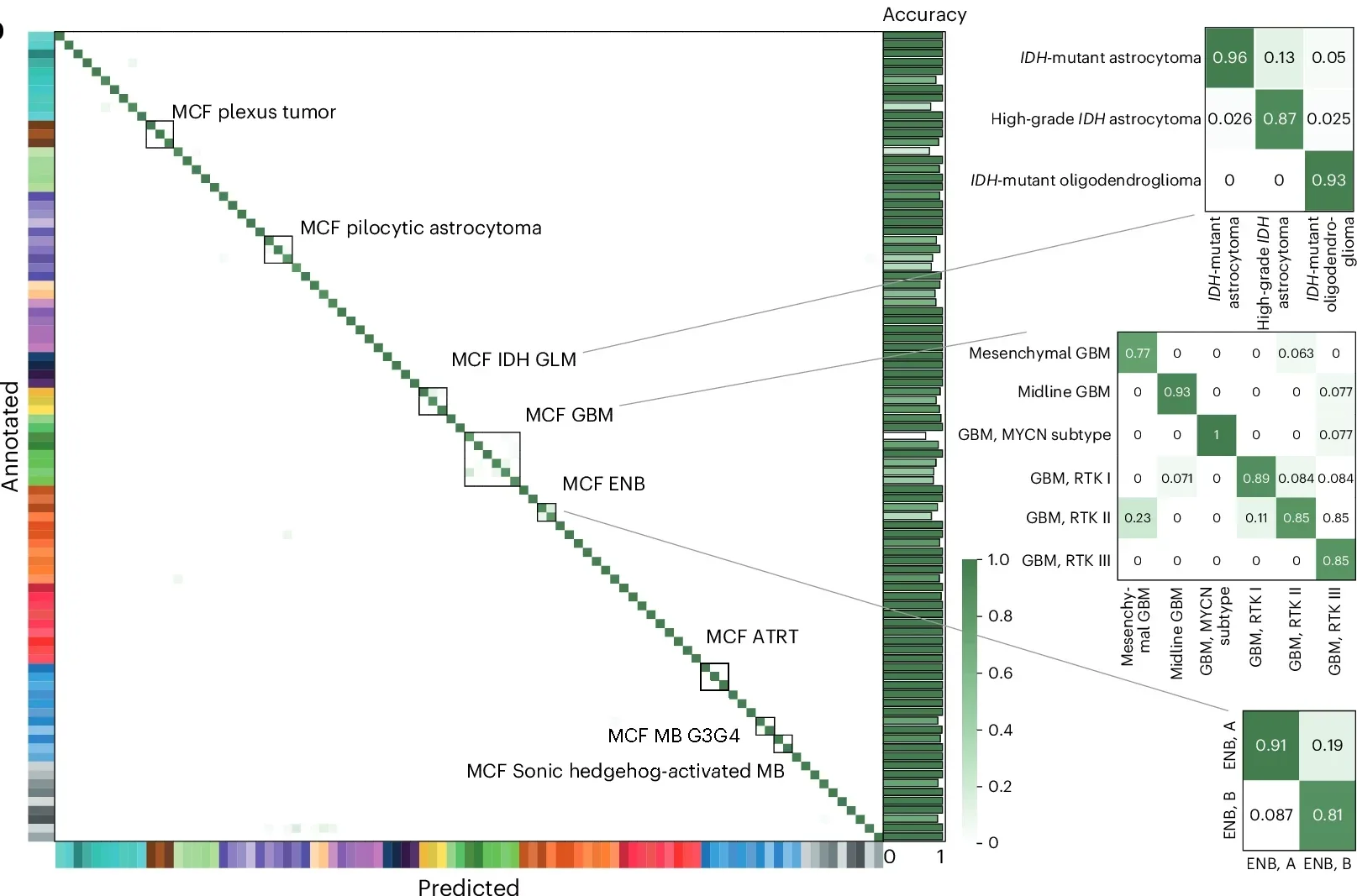 Heatmap of confusion matrix in fivefold CV. ATRT, atypical teratoid/rhabdoid tumor; ENB, esthesioneuroblastoma; MB, medulloblastoma; MB G3G4, MB group 3 and group 4; RRBS, reduced representation bisulfite sequencing; RTK, receptor tyrosine kinase (I, II and III).