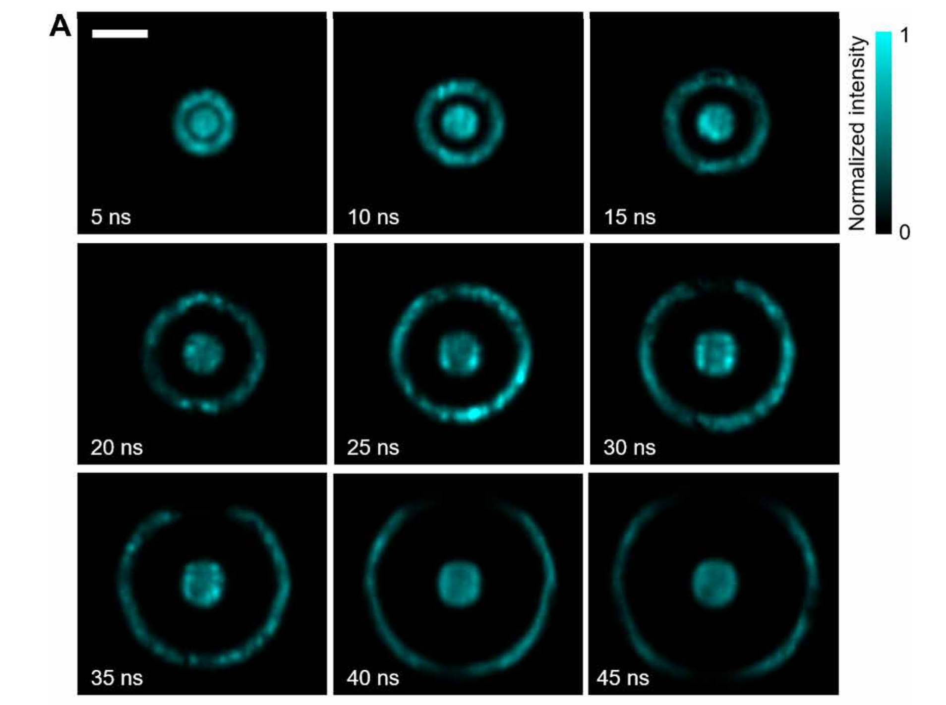 Nine representative frames captured from four 10-ns sequences. The four sequences span from 0 to 10 ns, 10 to 20 ns, 25 to 35 ns, and 37 to 47 ns. The images show both the expanding shock wave front and the cavitation bubble in the middle. 