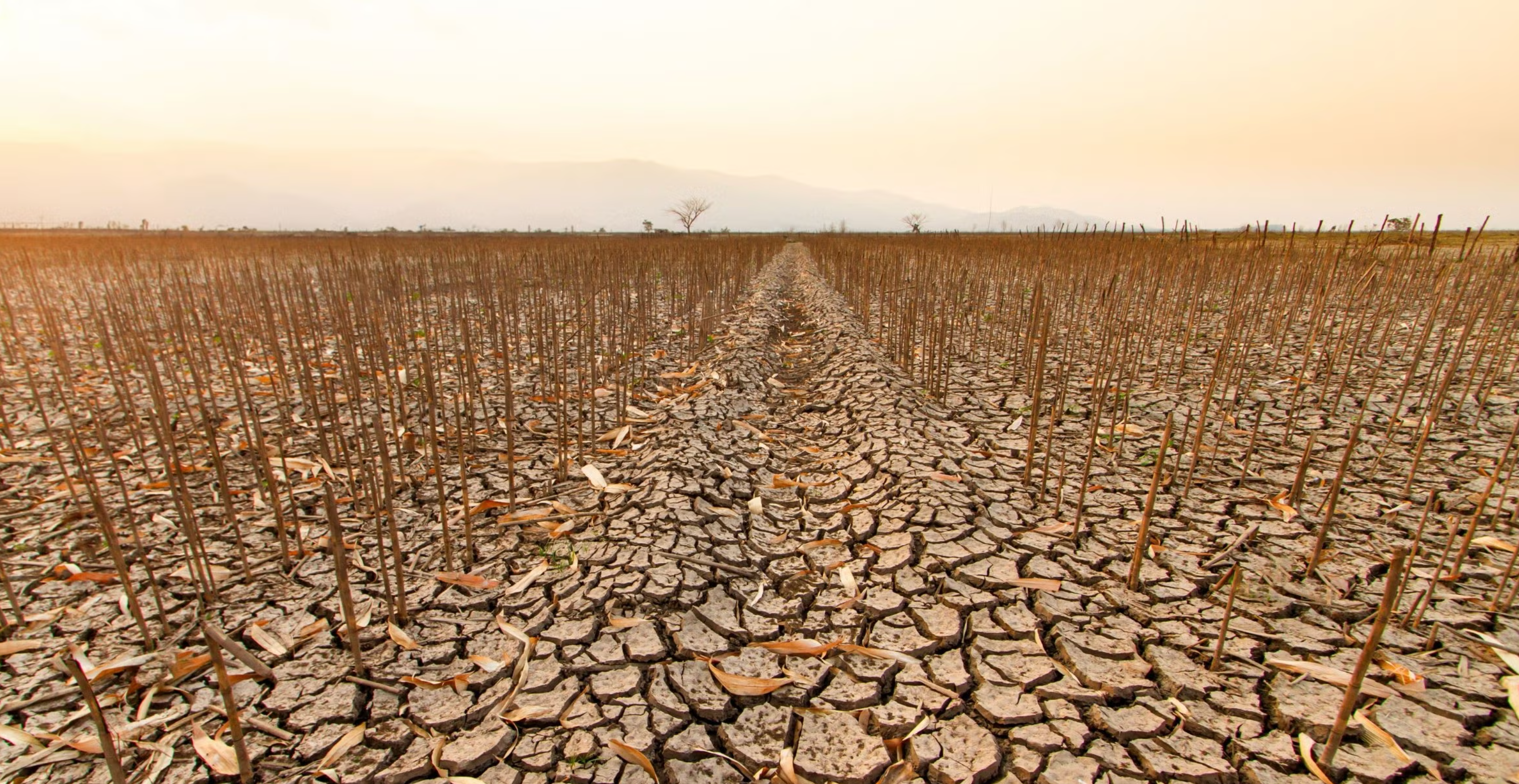 Warmer air can suck more moisture in dry regions and dump more rain in wet regions. New research reveals that the atmosphere’s drying capacity is outpacing increases to rainfall.
