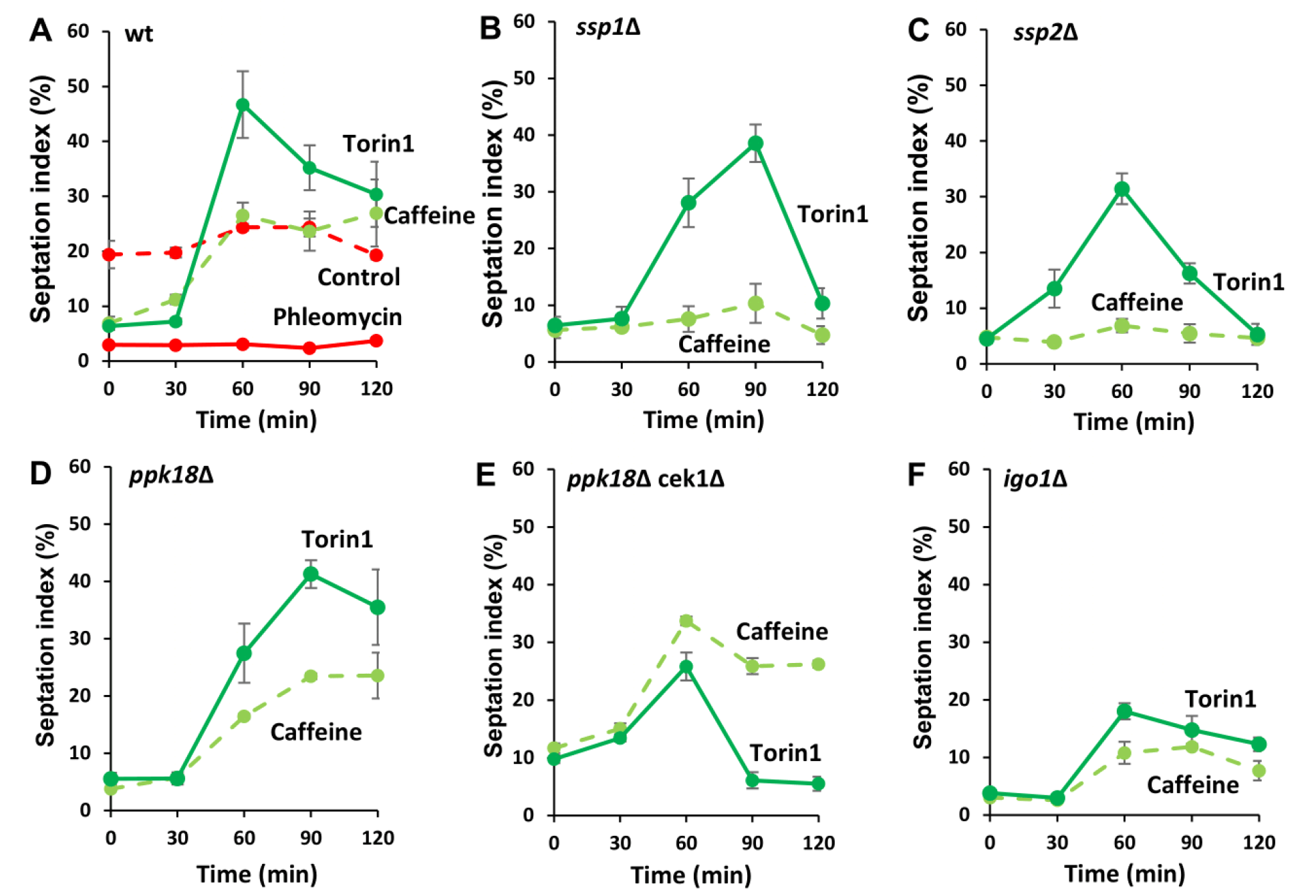 S. pombe AMPK mediates the effects of caffeine on cell cycle progression.
