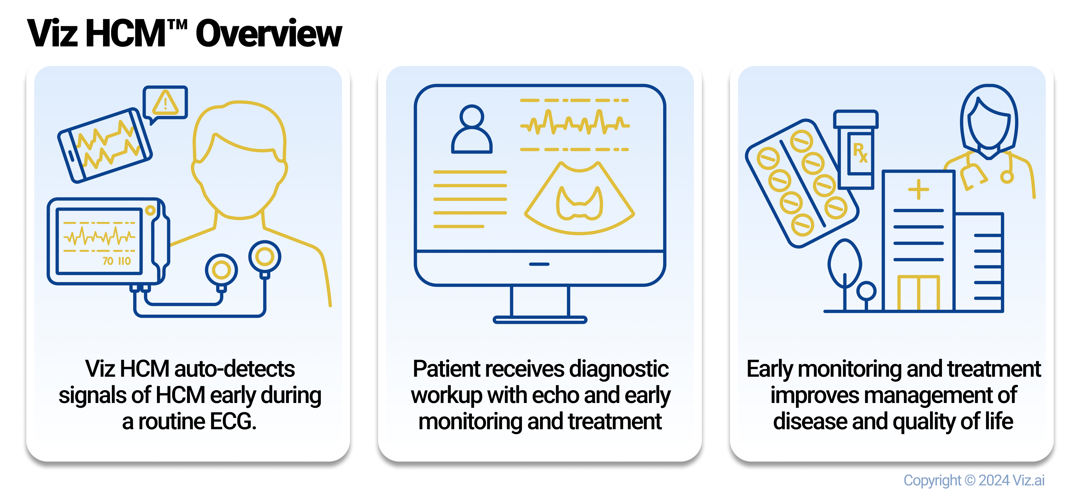Viz HCM Overview.
