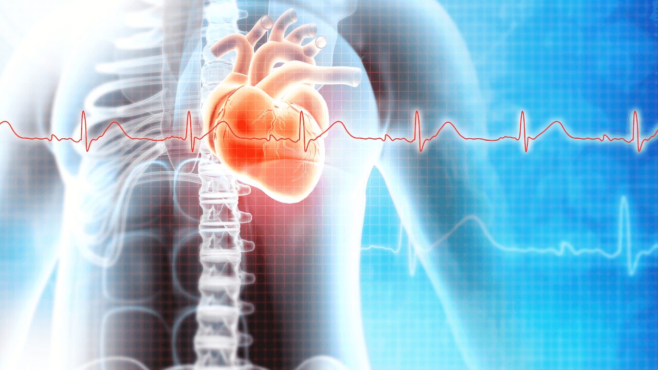 AI-powered heart scans reveal hidden danger, helping doctors catch hypertrophic cardiomyopathy early and guide patients toward faster, life-saving care.
