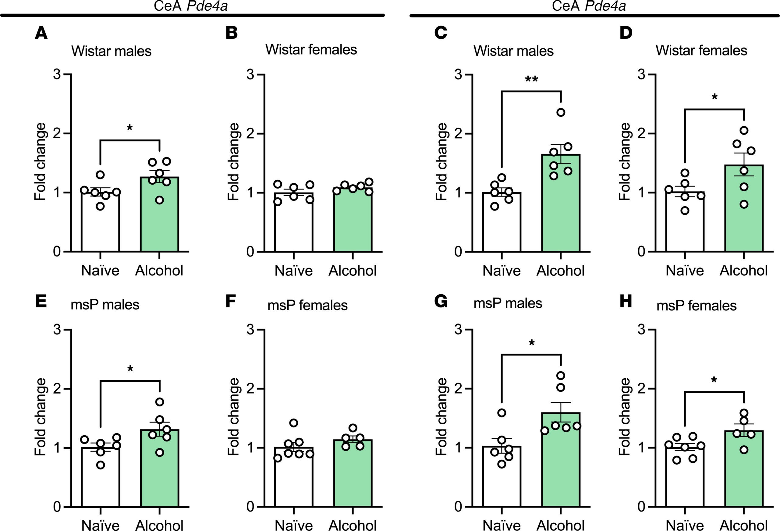 CeA Pde4a and -4b transcript levels are increased by chronic alcohol exposure across strain and sex.