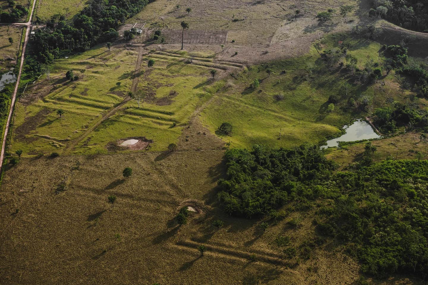 In Brazil’s Acre state, the Tequinho geoglyph marks what was once a ceremonial hub, connected by straight roads that stretched up to 50 miles through dense rainforest.