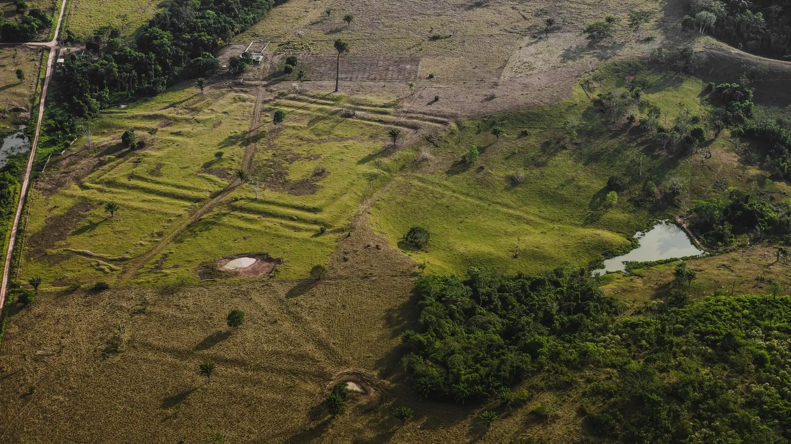 Researchers uncover ancient network of cities hidden in the Amazon  rainforest - The Brighter Side of News