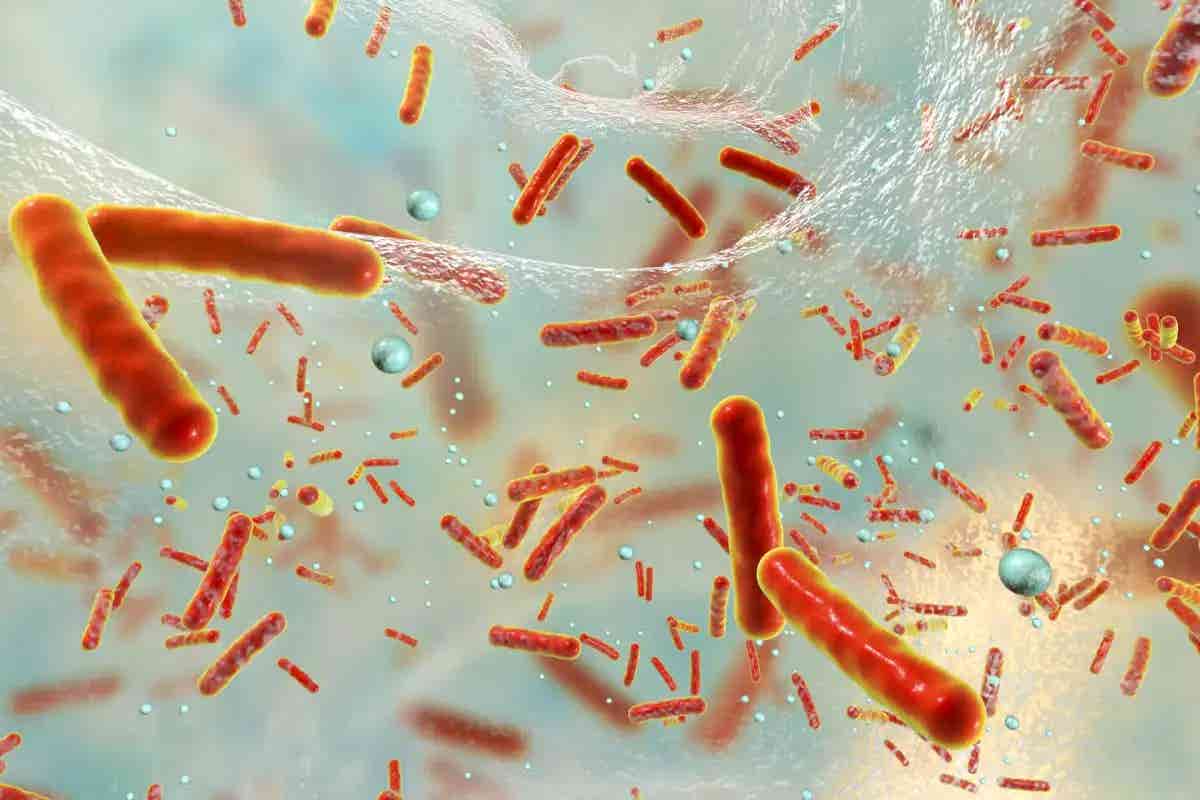 New research reveals hidden antimicrobial peptides in human proteins that target drug-resistant bacteria