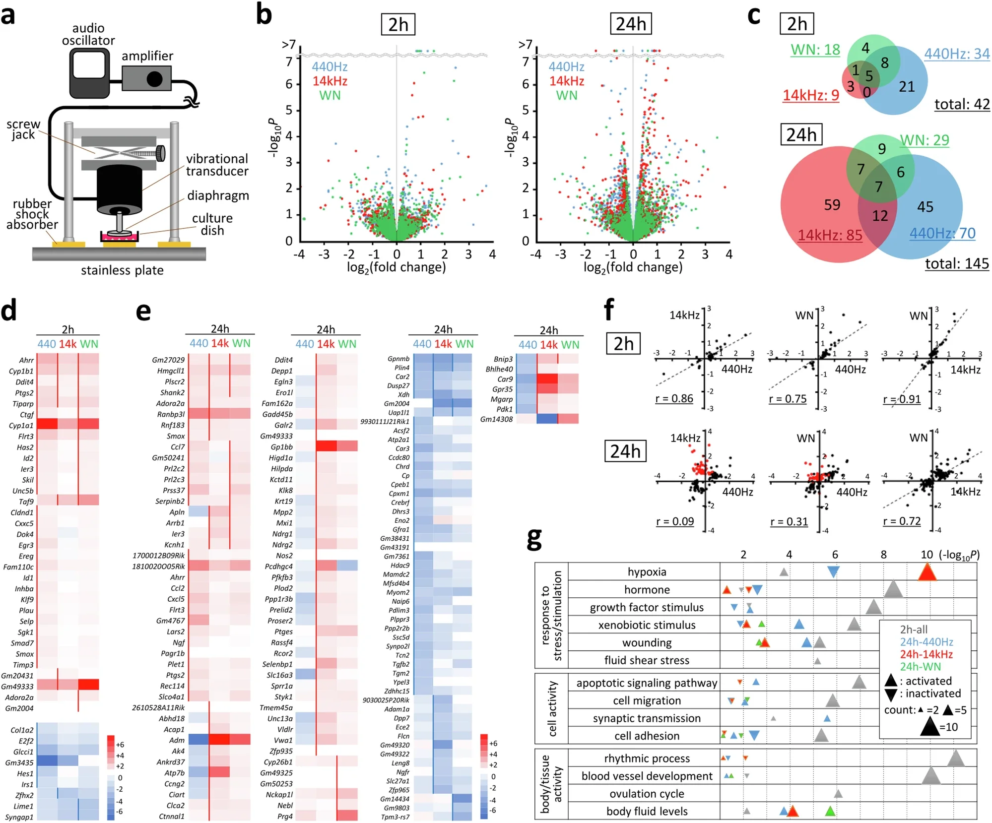 Identification of sound-sensitive genes.