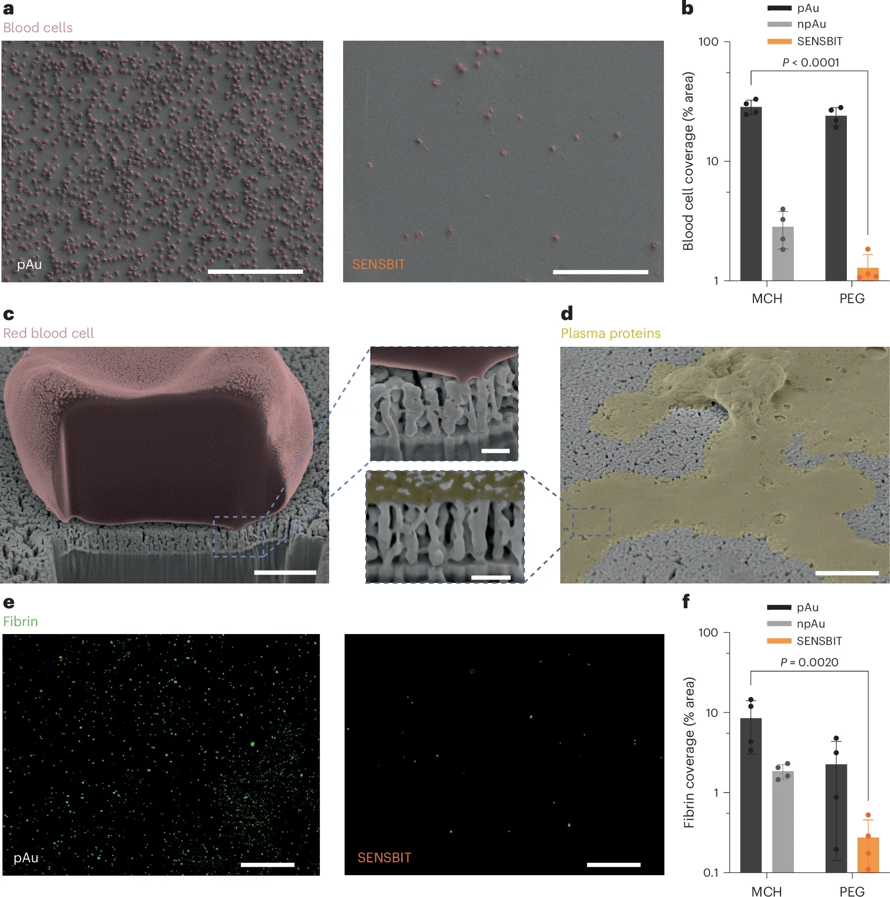 SENSBIT exhibits greatly reduced surface contamination in human whole blood.