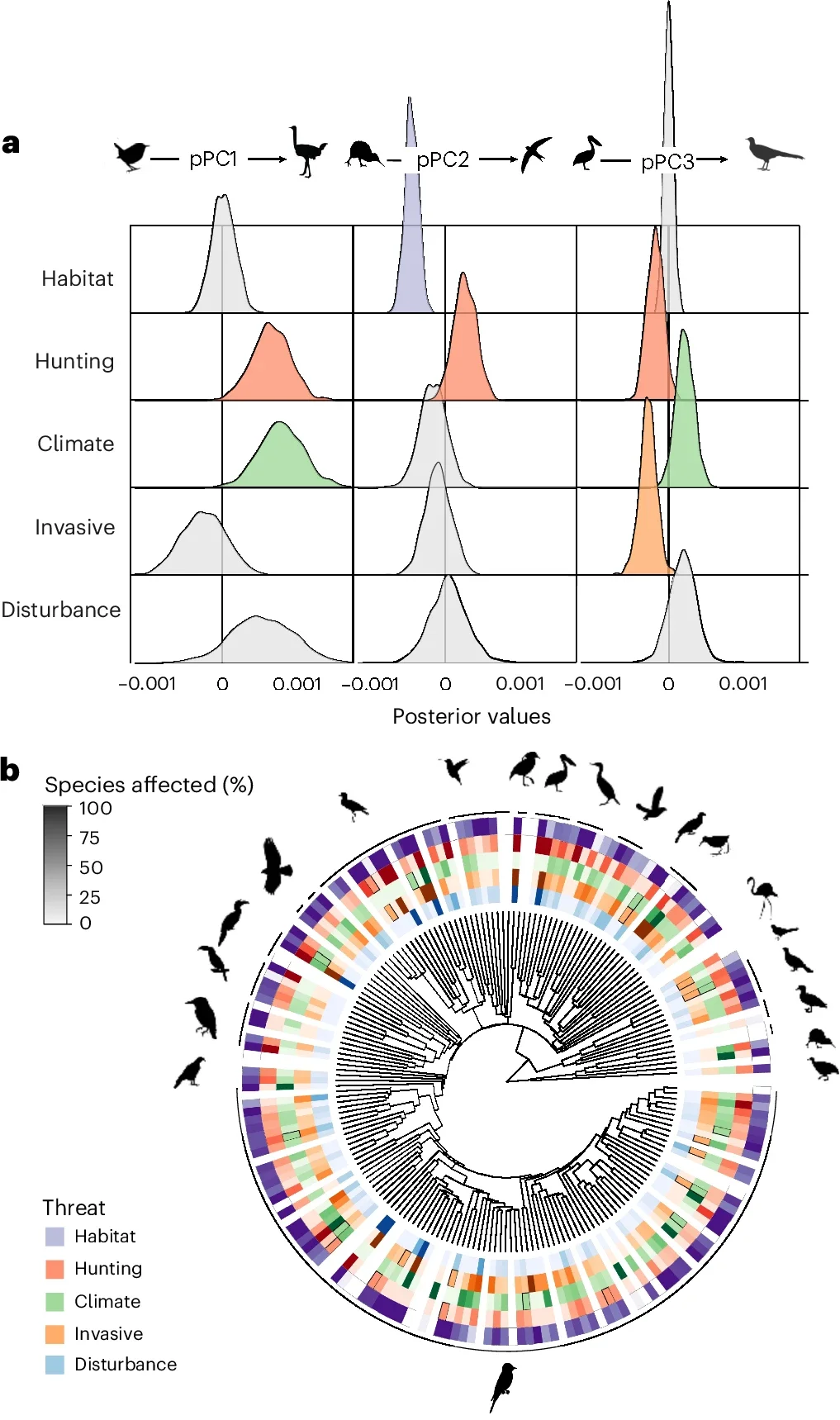 Drivers of extinction vary across morphospace and the avian tree of life.