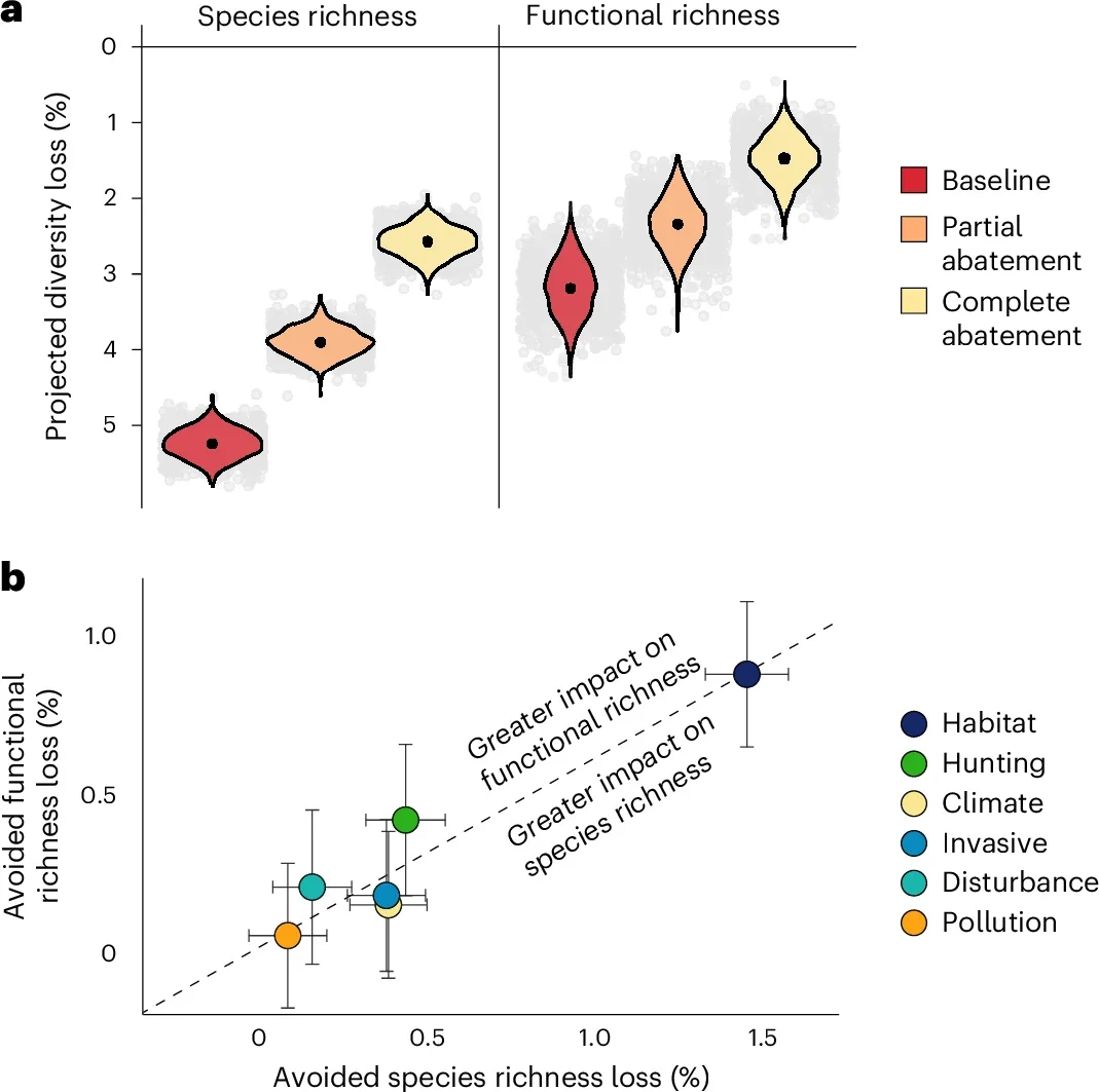 Projected loss of avian diversity in the next 100 years.