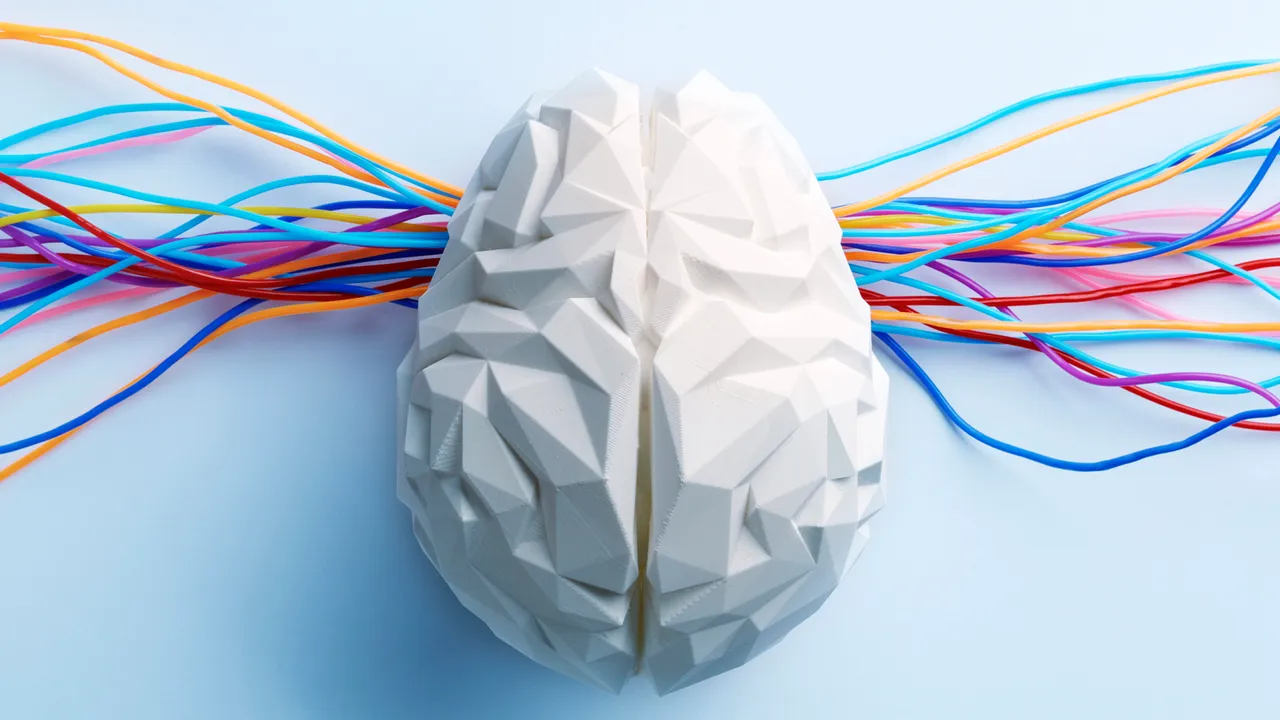 The basolateral amygdala fine-tunes generosity, adjusting kindness based on how emotionally close people feel.