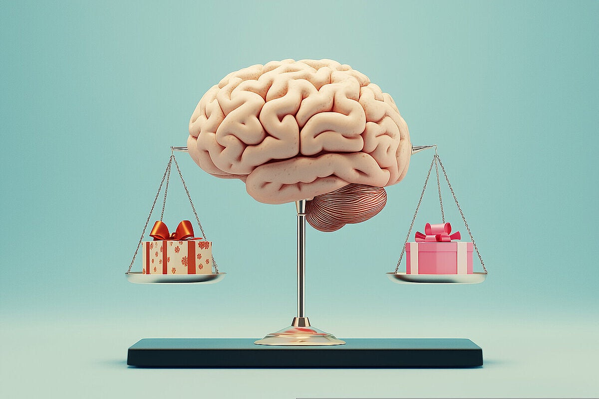Social decisions are not only shaped by upbringing or culture, but are in fact also strongly anchored in the brain.