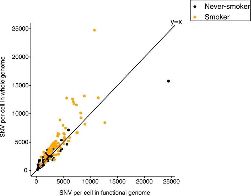 SNV frequency in the lung functional genome using scRNA-seq human lung data instead of GTEX.