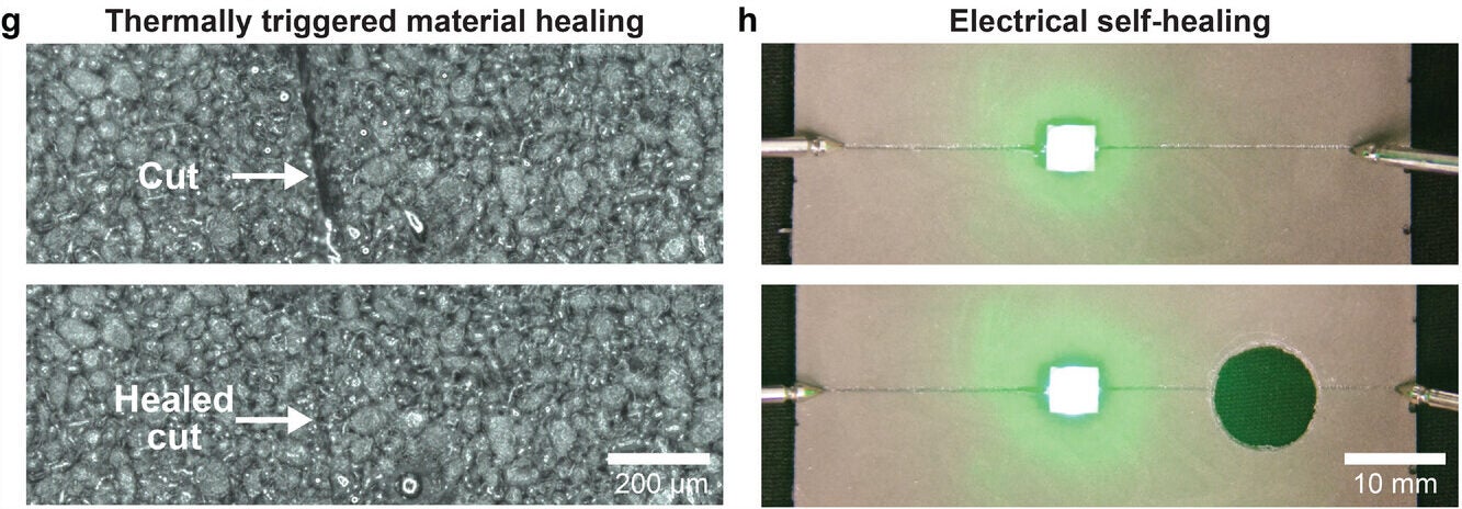 LM-vitrimer conductive composite characterization and healing.