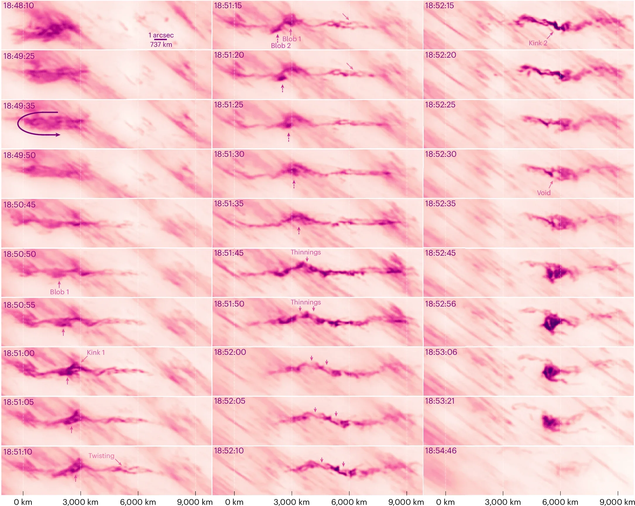 Temporal evolution of the twisted plasmoid.