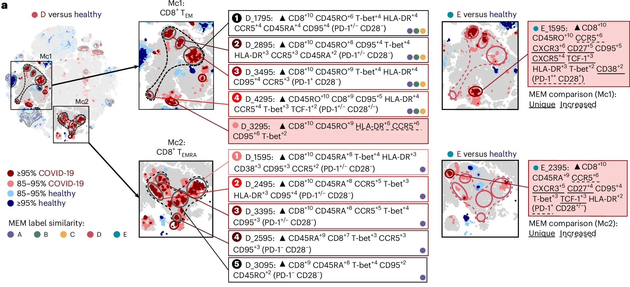 Features of CD8+ T cell populations enriched in patients with restrictive lung disease.