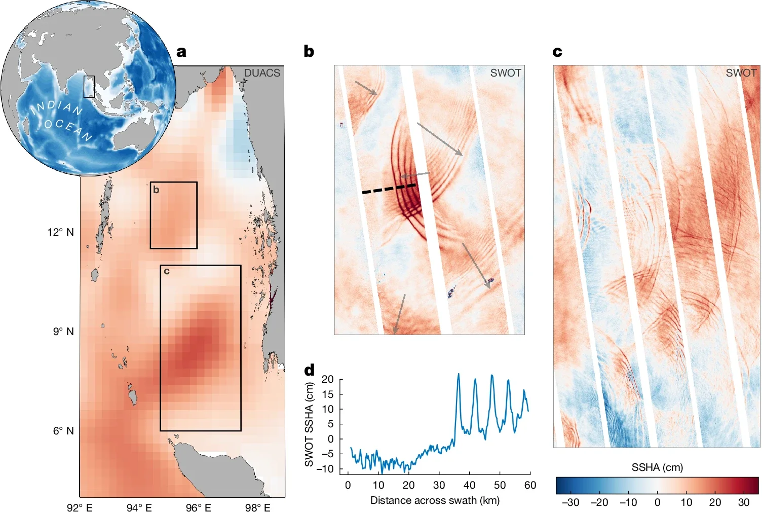SWOT measures the amplitudes of internal solitary waves in the Andaman Sea.