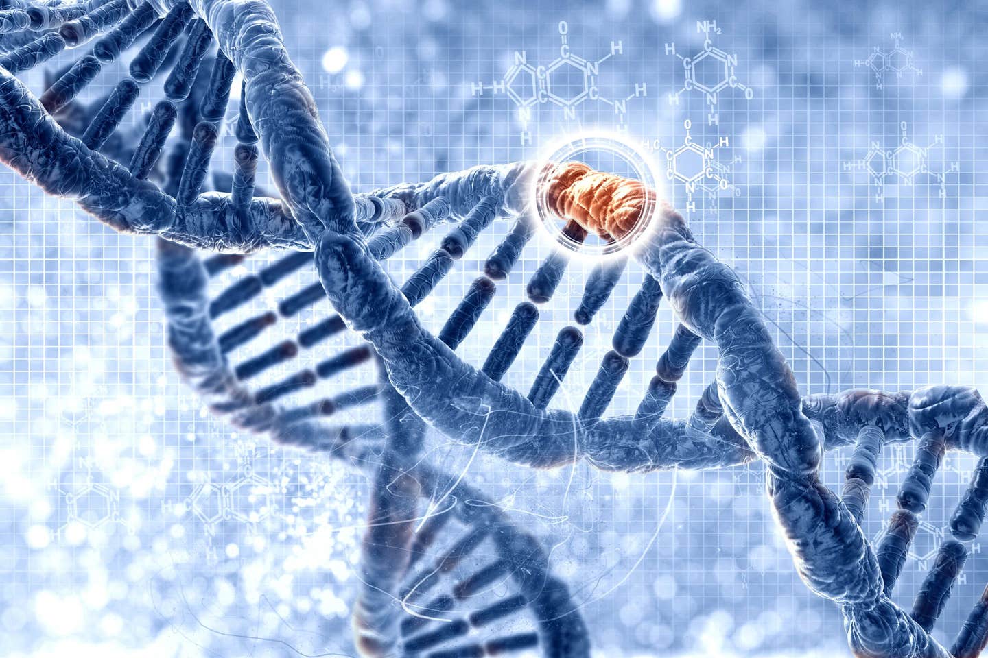 Scientists reveal the speed and pattern of DNA changes over generations in a major new human genetic study.
