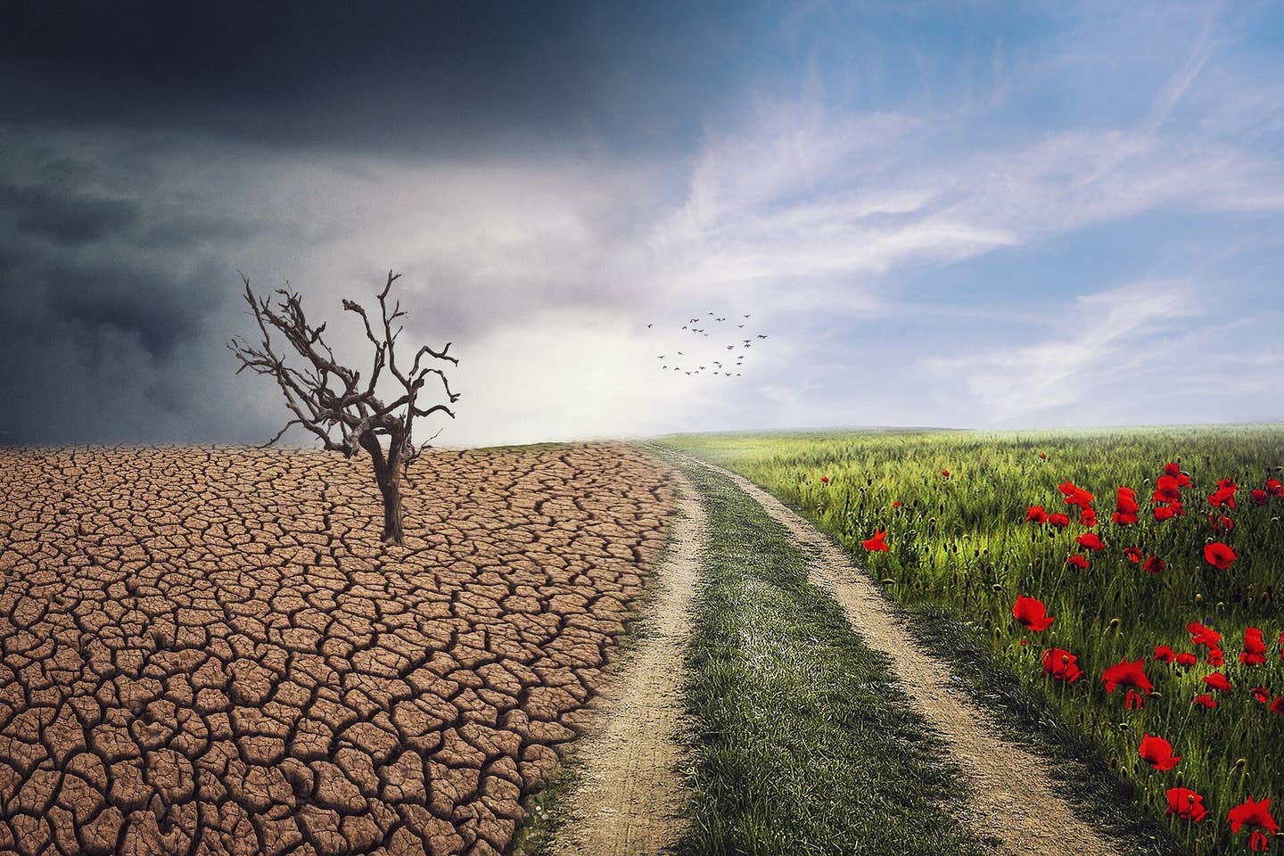 A new global study finds droughts have become 40% more severe due to rising atmospheric evaporative demand, even without rainfall drops.
