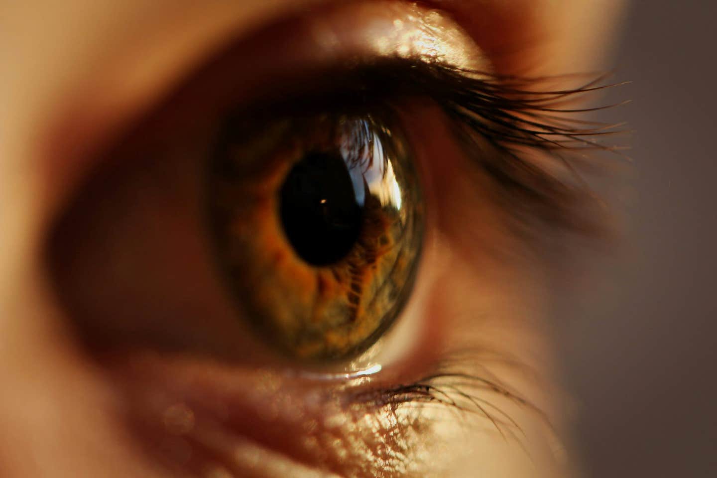 New self-powered synapse mimics human eye, enabling color vision in AI devices without external power.