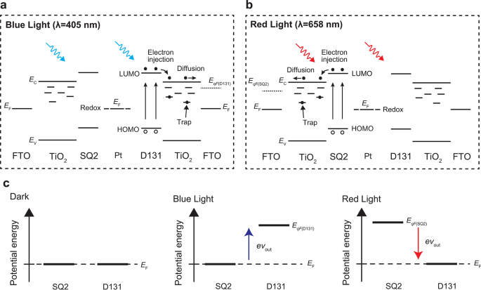 Mechanism of the wavelength-dependent bipolar behavior in the device. (a) Band diagram of the device under blue light and (b) red light irradiation. (c) Schematics of the potential energy alignment for TiO2 sensitized with D131 and SQ2.