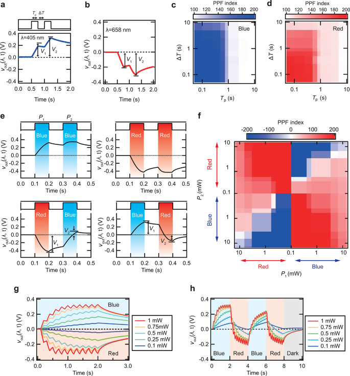 Synaptic properties of dye-sensitized optoelectronic artificial synapse.