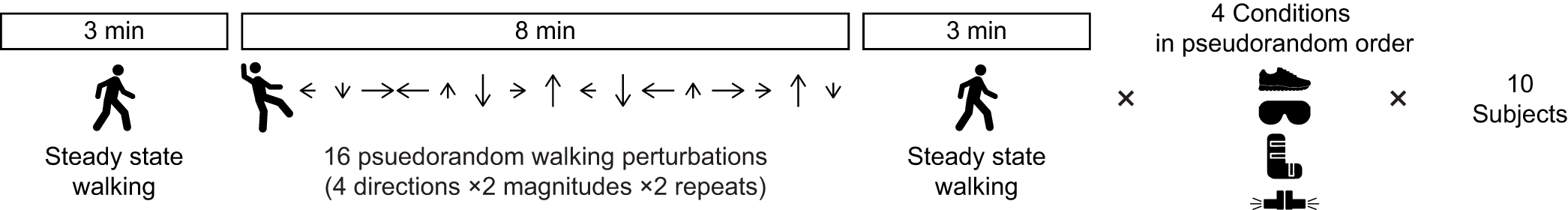 In each condition, each subject experienced approximately 3 min of walking, followed by 16 perturbations over approximately 8 min, and finally, 3 min of steady-state walking. Perturbation order was pseudo-randomized across conditions within a subject and across subjects. Order in which conditions were experienced were also pseudorandomized across subjects.
