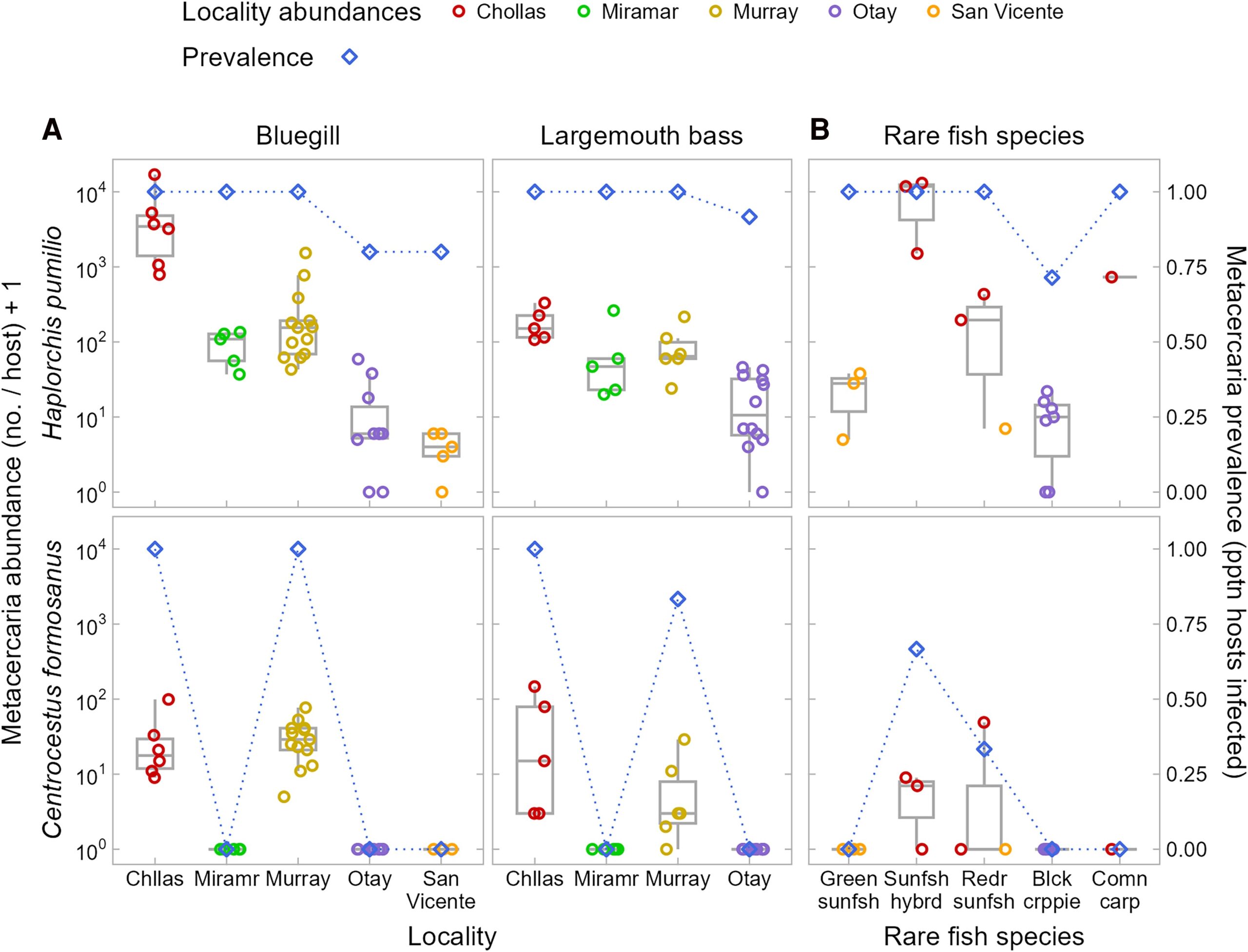 The abundance and prevalence of metacercariae of 2 zoonotic trematodes, Haplorchis pumilio and Centrocestus formosanus, in game fishes sampled at southern California fishing localities.