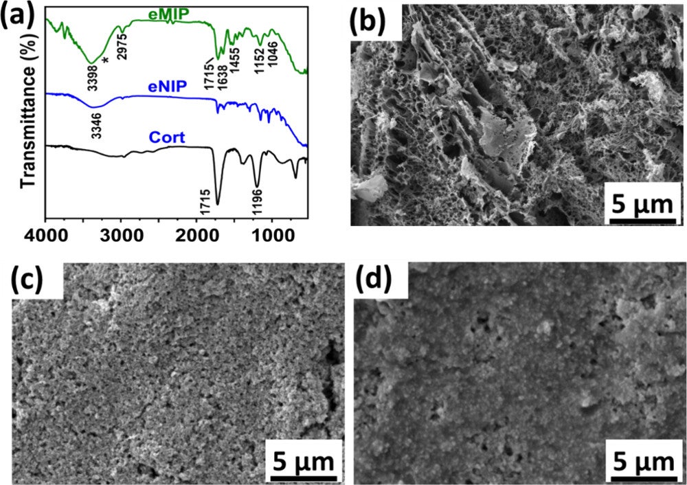 (a) FTIR spectrum of PLEG electrode (black curve), cort-eNIP/PPy/PB/PLEG electrode (blue curve), cort-eMIP/PPy/PB/PLEG electrode (green curve) recorded at a scan rate of 32 cm–1 in ATR mode; SEM micrograph of (b) PLEG electrode; (c) cort-eMIP/PPy/PB/PLEG electrode; (d) cort-eNIP/PPy/PB/PLEG electrode.