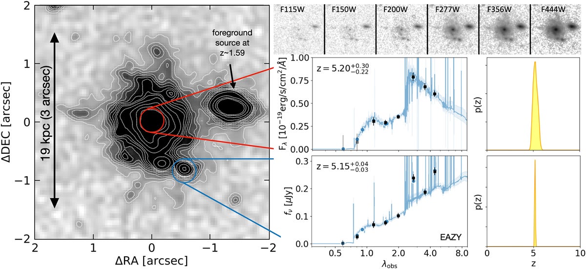 Morphology and photo-z of Zhúlóng. The left panel shows a 4″ × 4″ stacked image (F277W+F356W+F444W) with contour maps (start from 3σ). The top right panels show these same stamps in different filters. The central core’s SED (circled in red; measured in 0.16″ radius) has a clear post-starburst shape, which is shown in the middle right panels.