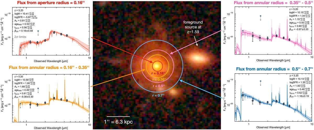 Stellar population gradient from the core to the outer region. Zhúlóng has a quiescent-like galaxy core embedded in a star-forming stellar disk.