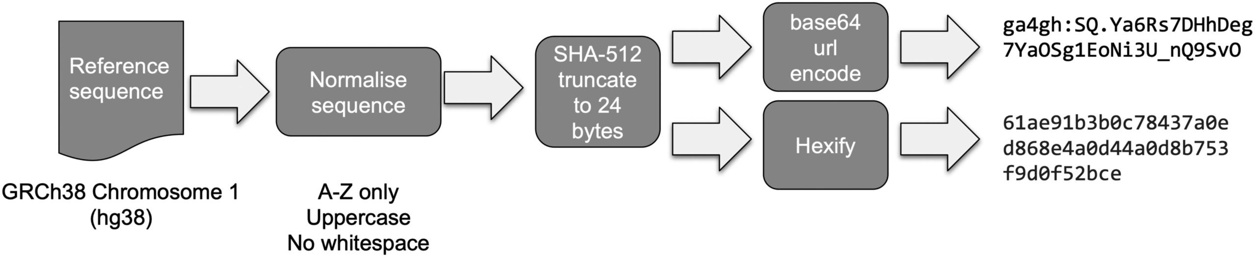 Summary of the sequence normalization and algorithm used to generate checksum identifiers.