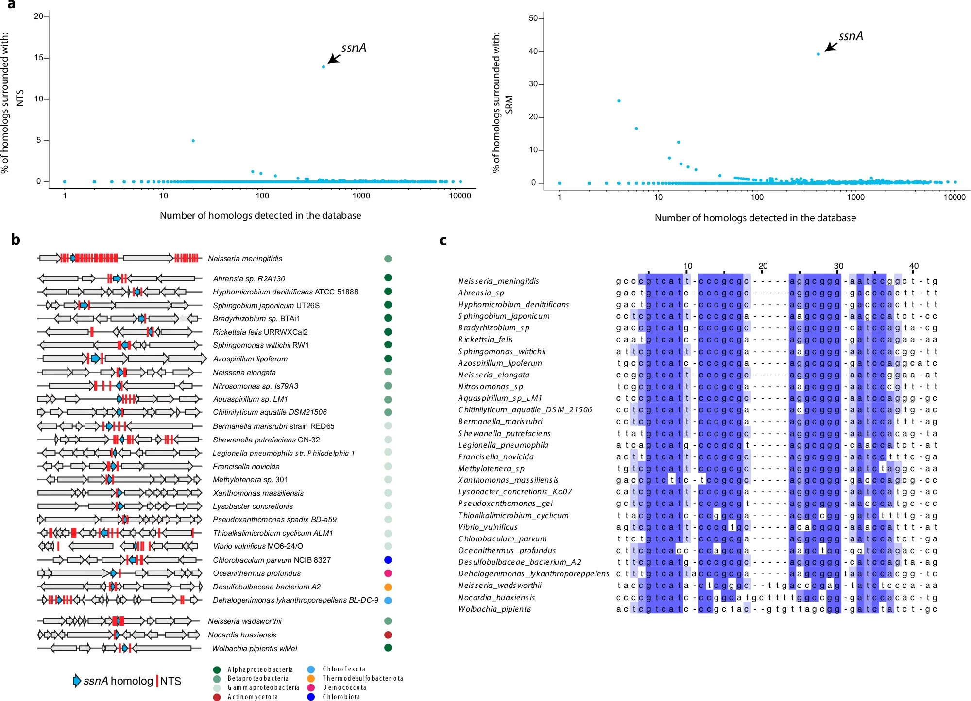 NTS repeats are associated with hypothetical GIY-YIG nucleases.