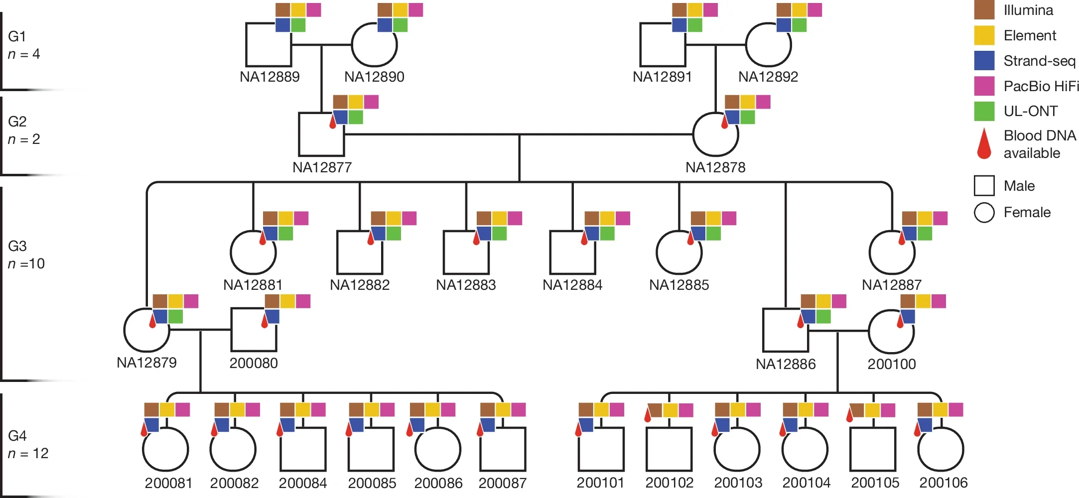 Sequencing the CEPH 1463 pedigree with five technologies.