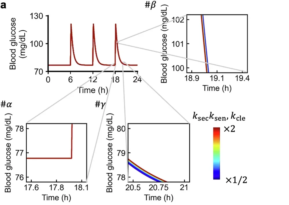 Characterization of AC_Mean and AC_Var using simulated glucose dynamics.