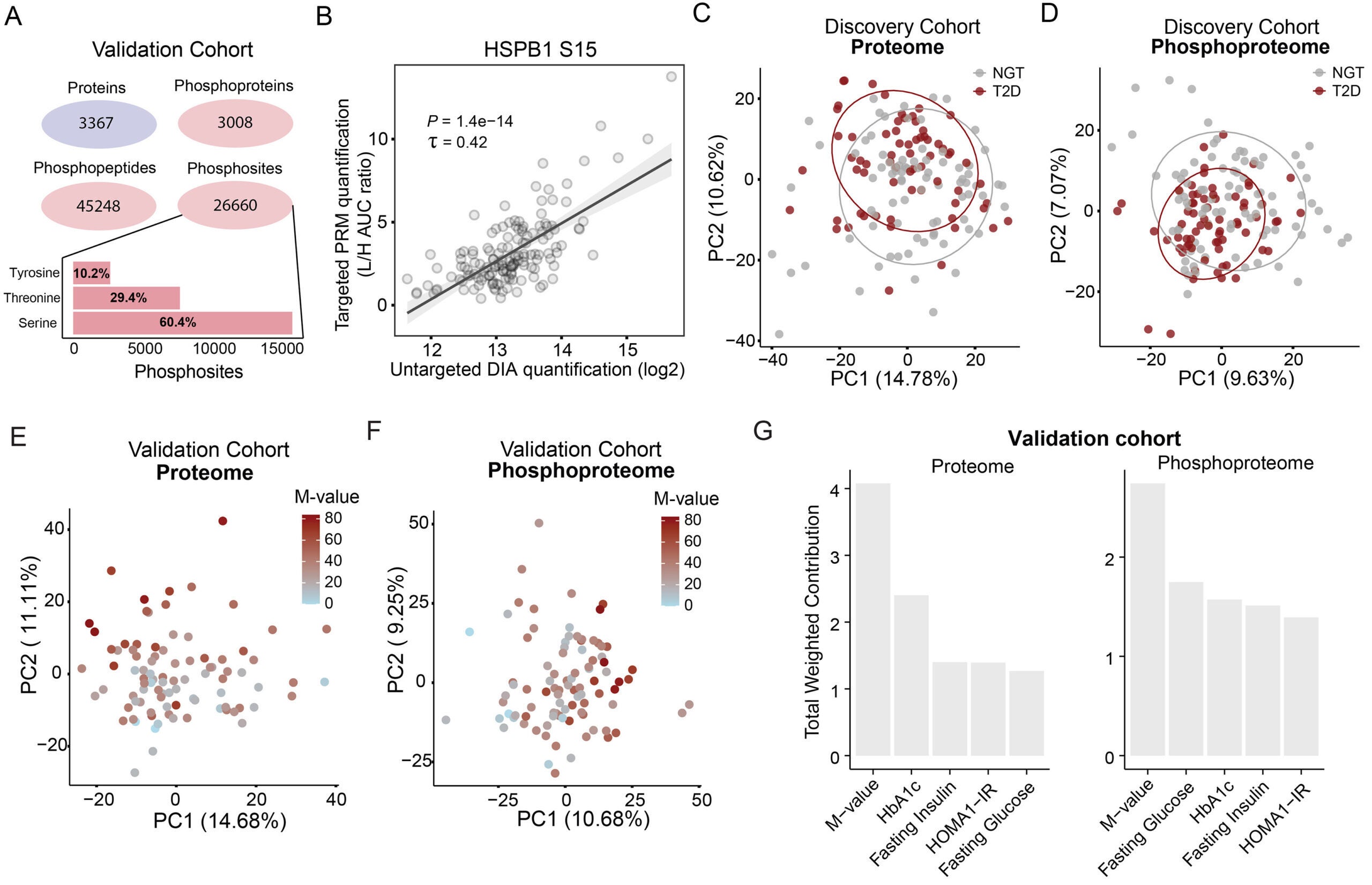 The proteome and phosphoproteome of human skeletal muscle are critical determinants of whole-body IS