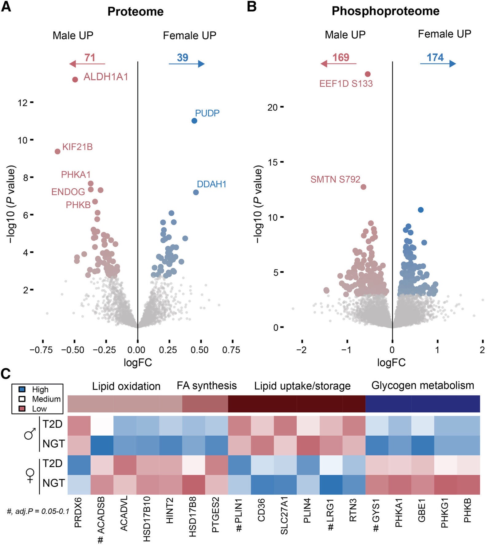 The sex-specific molecular signature reveals shared and distinct features of metabolism