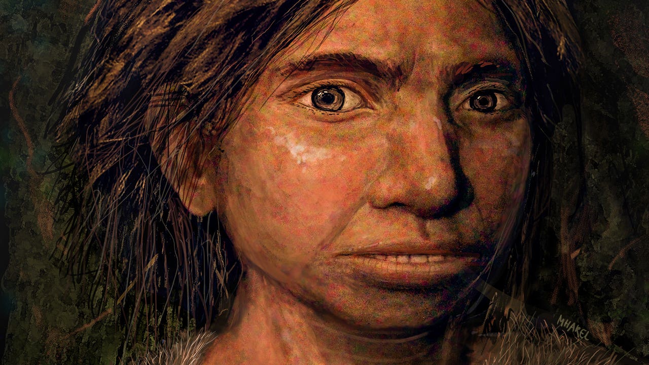 A Denisovan jawbone from Taiwan proves these ancient humans lived in warm climates, reshaping our view of human evolution.