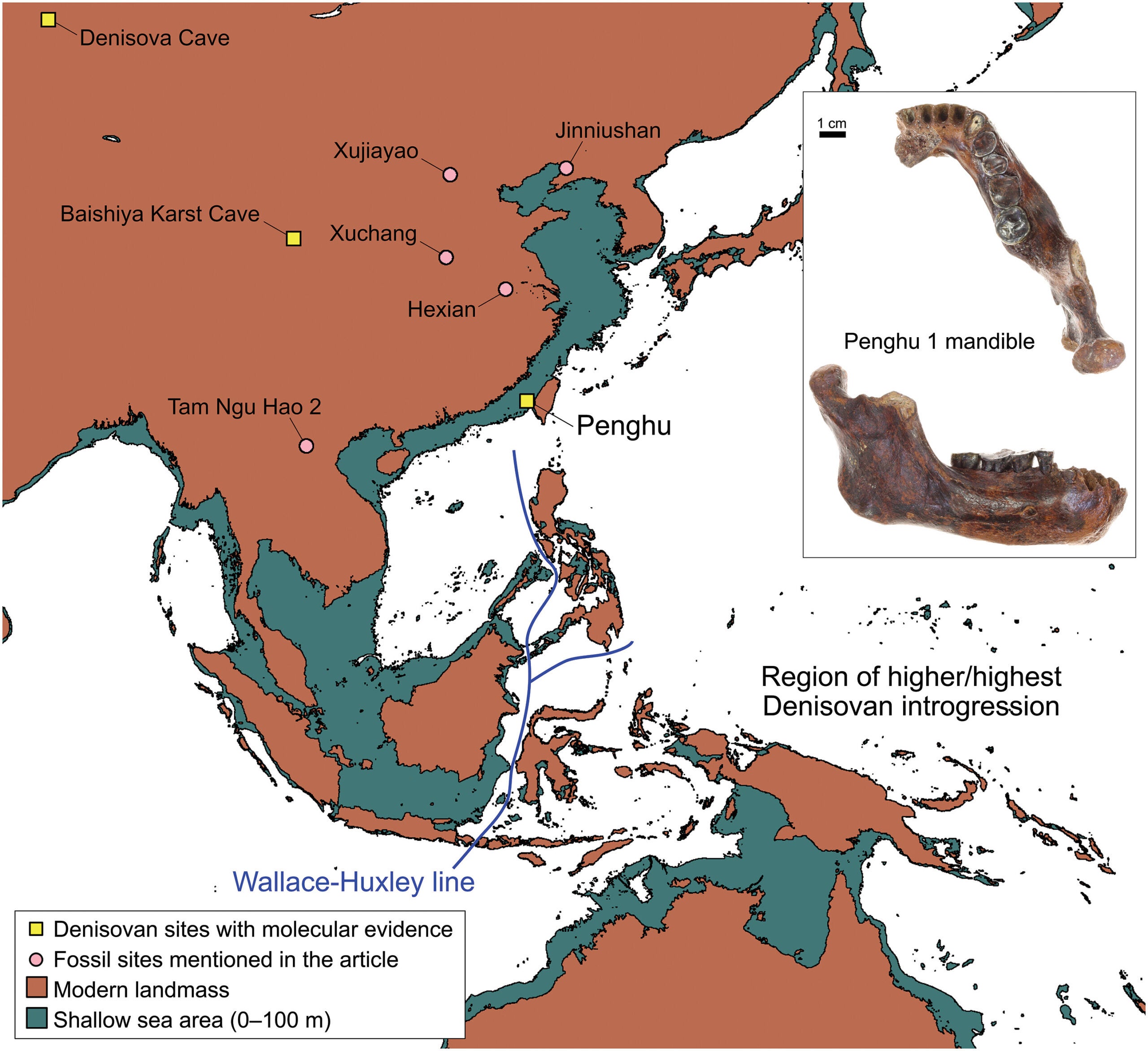 Map showing the distribution of known, molecularly determined Denisovan fossils and photos of Penghu 1.